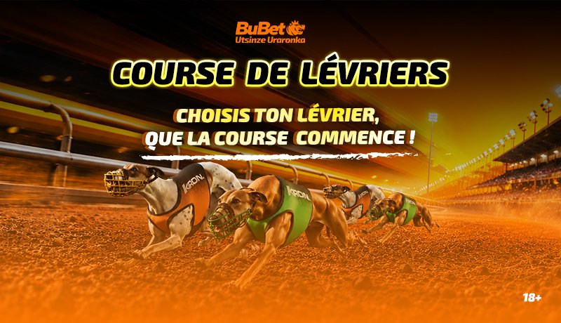 LEVRIERS-SITEWEB-FR.jpg